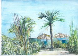 Chincoteague Palms