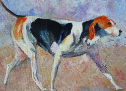 Fox Hound, Oil on Linen, 9x12 (click to enlarge) Fox Hound, Oil on Linen, 9x12