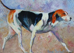 Fox Hound, Oil on Linen, 9x12