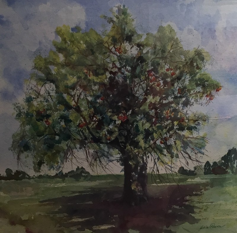 "Apple Tree" by Alice Power