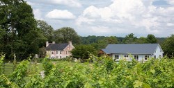 Zephaniah Farm Vineyard Zephaniah Farm Vineyard