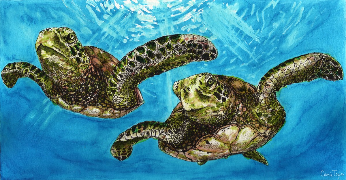 "Sea Turtles"  by Cherie Taylor