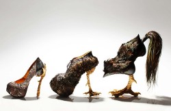 Example of "Agricouture": Rooster Shoe