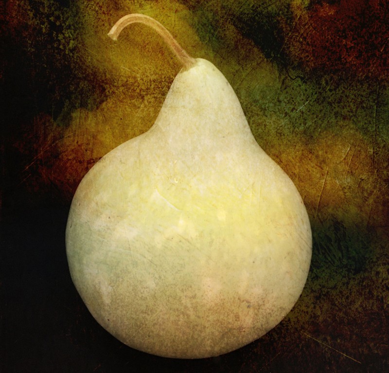 "Gourd" by Terri Parent