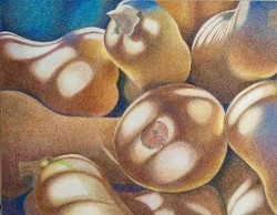 "Butternuts", colored pencil on panel, 11" x 14", 2016 (click to enlarge) "Butternuts", colored pencil on panel, 11" x 14", 2016