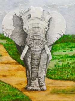 Title: African Elephant, Acrylic on Canvas, 8" x 10", Year 2020