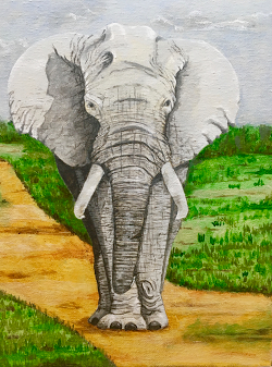 Title: African Elephant, Acrylic on Canvas, 8" x 10", Year 2020 (click to enlarge) Title: African Elephant, Acrylic on Canvas, 8" x 10", Year 2020