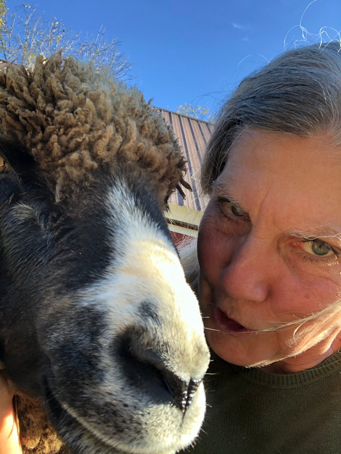 Patricia with one of her sheep