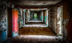 "Ruins Down the Way - Trans-Allegheny Asylum" by Samantha Marshall