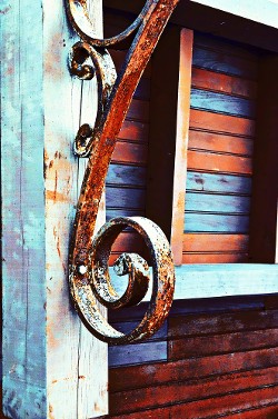 "St Petersburg Borough - Curl" (click to enlarge) "St Petersburg Borough - Curl"