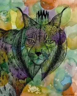"Endangered Kingdom series, 30: Iberian Lynx", 10" x 8", watercolor and archival pen on wc paper, 2016 (click to enlarge) "Endangered Kingdom series, 30: Iberian Lynx", 10" x 8", watercolor and archival pen on wc paper, 2016