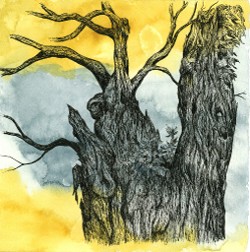 "Tree Twenty-three (of Thirty-six Trees I've Known)", 7" x 7", watercolor and archival pen on wc paper, 2016