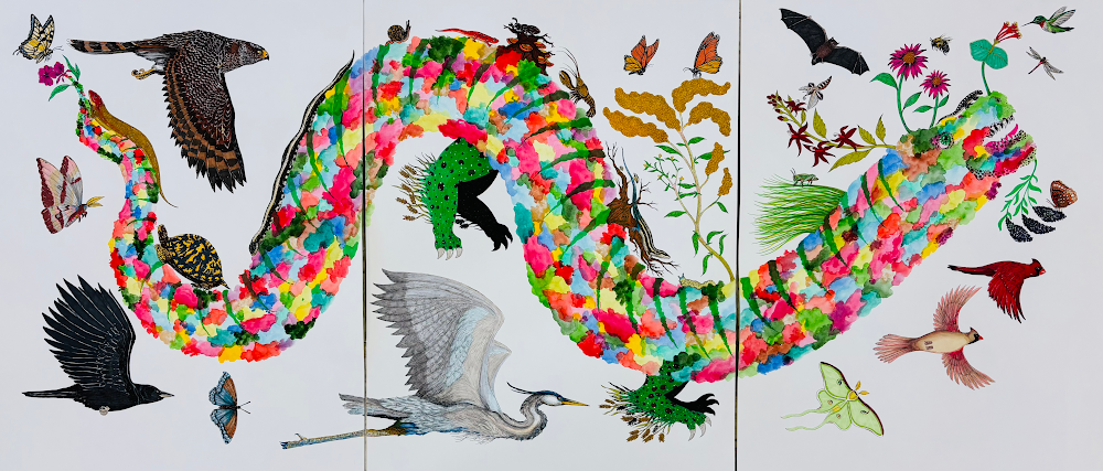 NOVA Wildlife Splotch Dragon