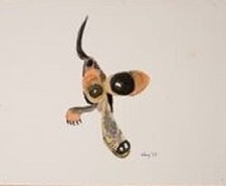 "Stewie" by Nancy Kfoury "Stewie" by Nancy Kfoury