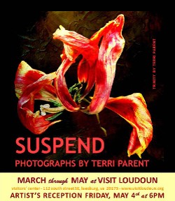 Terri Parent's photos will be exhibited at Visit Loudoun through the end of May