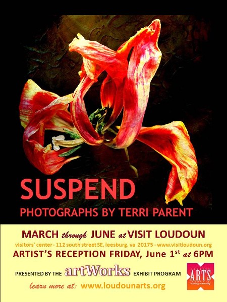 Terri Parent's photos will be exhibited at Visit Loudoun through June.