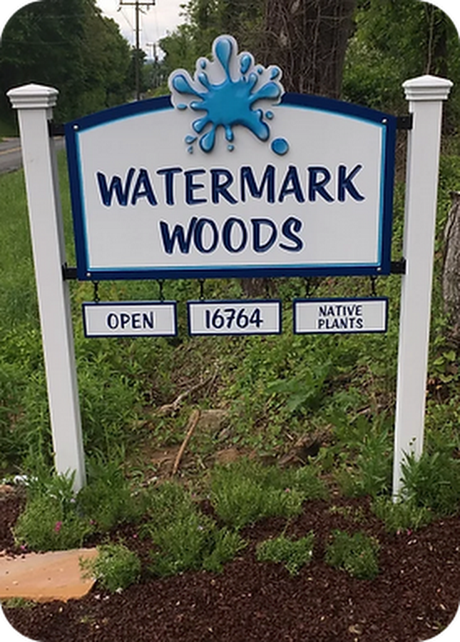 Watermark Woods - Native Plants
