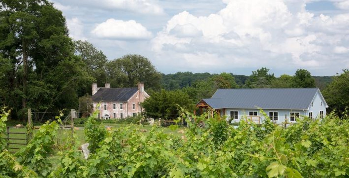 Zephaniah Farm Vineyard