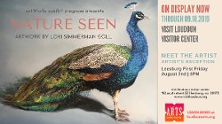 New artWorks exhibit opens at Visit Loudoun Visitor Center.